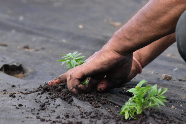 Get your hands dirty